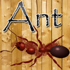 Ant Crusher Game HD