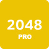 2048 Pro Version