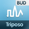 Budapest Travel Guide by Triposo