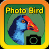 PhotoBird iPad Version