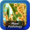Plant Patholohy