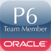 P6 Team Member