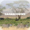 Safari Views