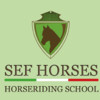 SEF Horses
