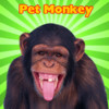 A Pet Monkey Booth
