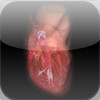 Virtual Heart