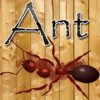 Ant Crusher Game HD Lite