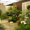 Garden Design Pro HD