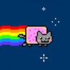 Flappy Cat - The Internet Kitty Adventure