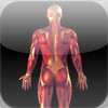 Medical Shool Apps: The Muscular System