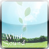 Wind Sound