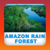 Amazon Rain Forest