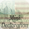 Mini Declaration