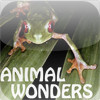 Animal Wonders