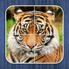 Jungle puzzle - jigsaw puzzle for kids