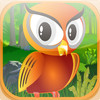 Cute Baby Owl Glider - Epic Jungle Survival Challenge