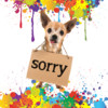 Sorry! Write and send a funny social apology ecard: saying I'm sorry is now easy and fun - free