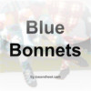 Blue Bonnets