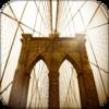 Roebling's Brooklyn Bridge - Historical NYC Walking Tour
