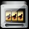 Sophie Wild Horse Slots - Vegas Bingo Casino Slot Machine