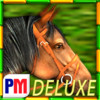 Gallop for Gold Slots Deluxe