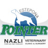 Pointer Veterinary Clinic - Estepona