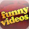 Funny Videos and Pictures - The Best Laughs
