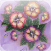 Pansies Pattern Pack for iPad