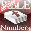 Numbers : The Fourth Book of Holy Bible