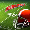 Auburn College Football Fan Edition