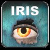 IRIS Fire Investigations
