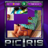 Pictris - A Picture Puzzle Game