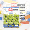 BrickJournal