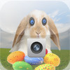 Easter Bunny Camera Prank