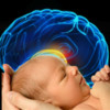 Nurture Baby Brain