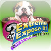 Extreme Expose It! Ohhh sooo CUTE Puppies!