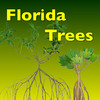 Trees - Guide to Common Species of Southern Florida