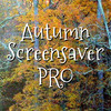Autumn Screensaver Pro