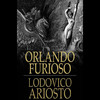 Orlando Furioso: The Frenzy of Orlando