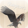 Raptors of the U.S. and Canada