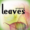 Awesome Leaves Masks HD