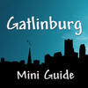 Gatlinburg Mini Guide