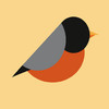 Smart Cuckoo for iPad
