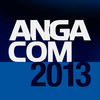 ANGA COM 2013