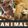 Animal Quiz - Guess the most famous animals (farm, jungle, savannah, domestic, forest) new fun puzzle!