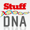 Stuff DNA