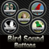 Bird Sound Buttons