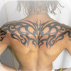 Pop Tattoos Catalog - Hot Tattoo Gallery Pro