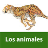 Animales salvajes. Enciclopedia Visual de las Preguntas