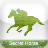 Secret Horse Lite
